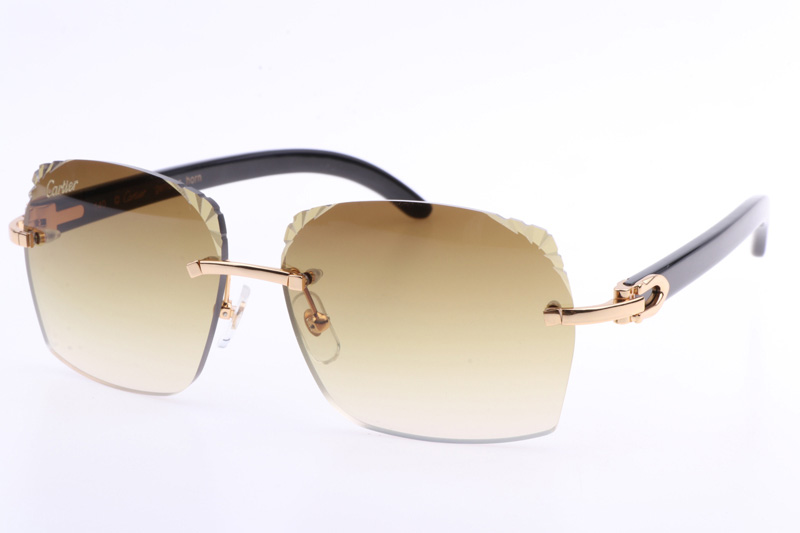 CT 8300818 Engrave Lens Black Buffalo Sunglasses In Gold Brown