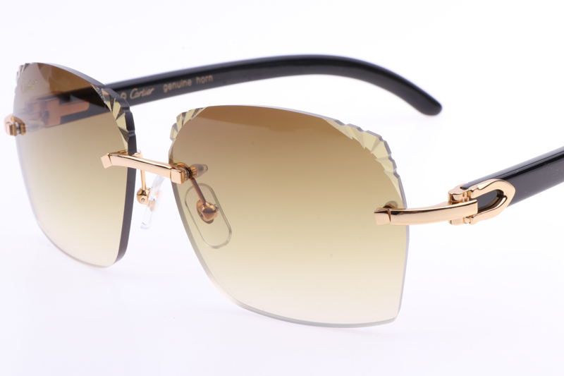 CT 8300818 Engrave Lens Black Buffalo Sunglasses In Gold Brown