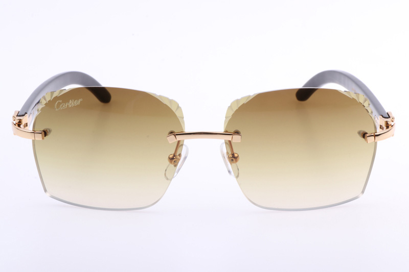 CT 8300818 Engrave Lens Black Buffalo Sunglasses In Gold Brown