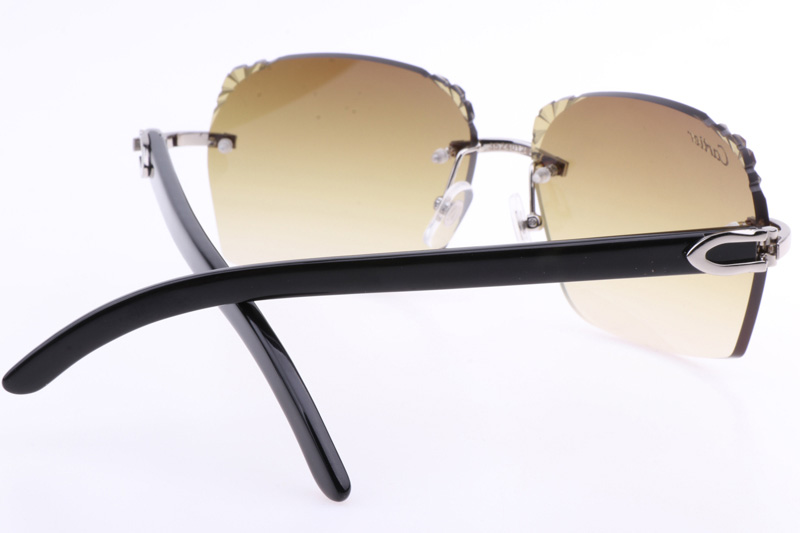 CT 8300818 Engrave Lens Black Buffalo Sunglasses In Silver Brown