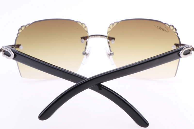 CT 8300818 Engrave Lens Black Buffalo Sunglasses In Silver Brown