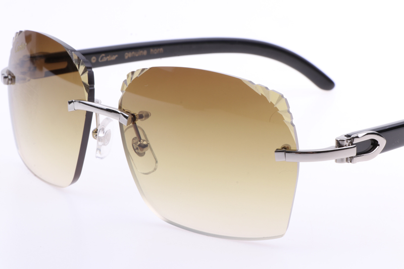 CT 8300818 Engrave Lens Black Buffalo Sunglasses In Silver Brown