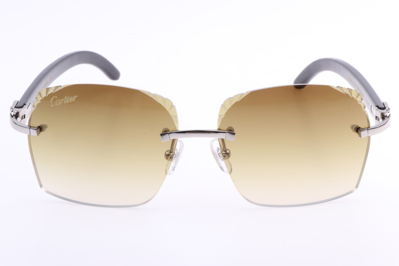 CT 8300818 Engrave Lens Black Buffalo Sunglasses In Silver Brown