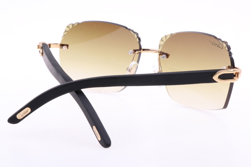 CT 8300818 Engrave Lens Black Wood Sunglasses In Gold Brown