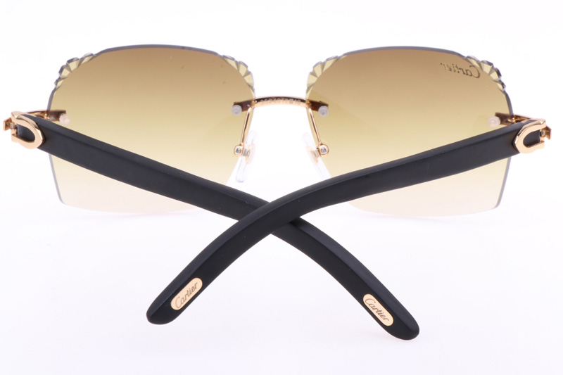 CT 8300818 Engrave Lens Black Wood Sunglasses In Gold Brown