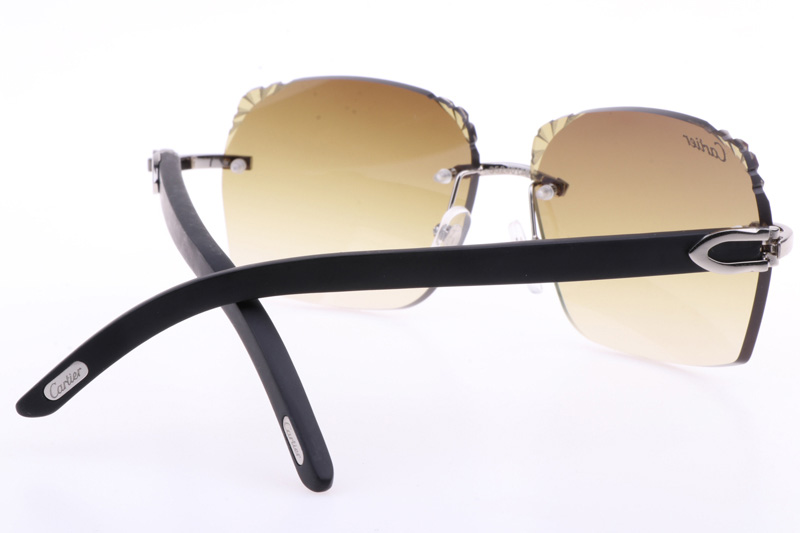 CT 8300818 Engrave Lens Black Wood Sunglasses In Silver Brown