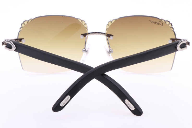 CT 8300818 Engrave Lens Black Wood Sunglasses In Silver Brown
