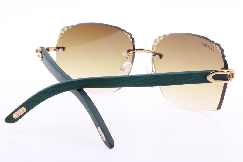 CT 8300818 Engrave Lens Green Wood Sunglasses In Gold Brown