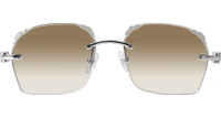 CT 8300818 Engrave Lens Green Wood Sunglasses In Silver Brown