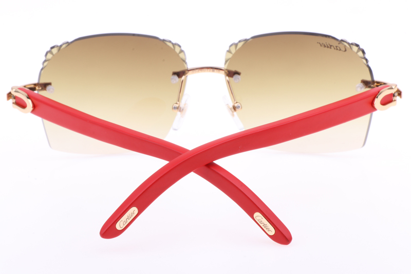 CT 8300818 Engrave Lens Red Wood Sunglasses In Gold Brown