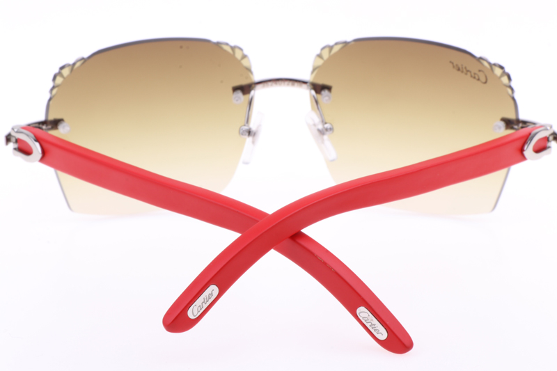 CT 8300818 Engrave Lens Red Wood Sunglasses In Silver Brown
