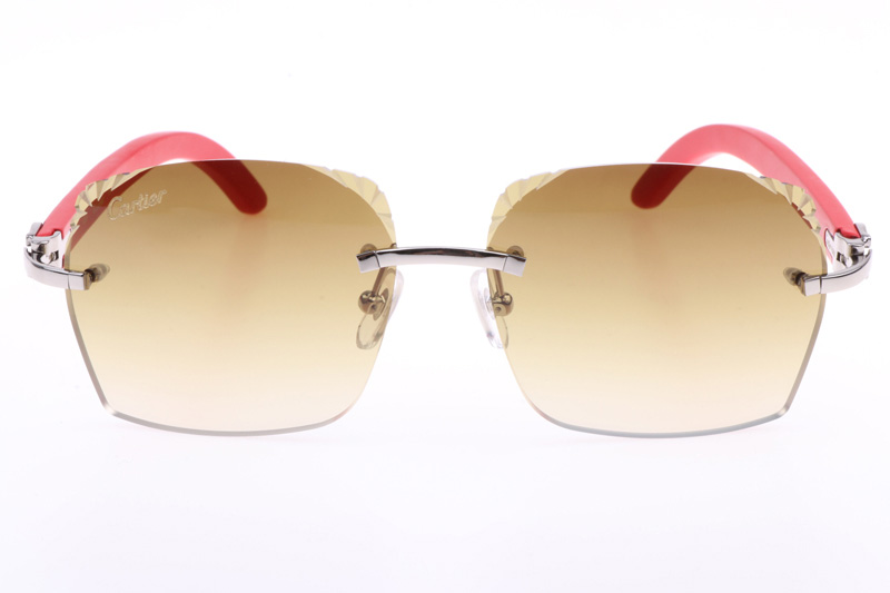 CT 8300818 Engrave Lens Red Wood Sunglasses In Silver Brown