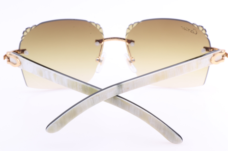 CT 8300818 Engrave Lens White Mix Black Buffalo Sunglasses In Gold Brown