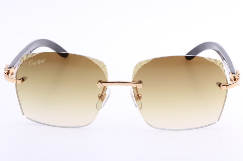 CT 8300818 Engrave Lens White Mix Black Buffalo Sunglasses In Gold Brown