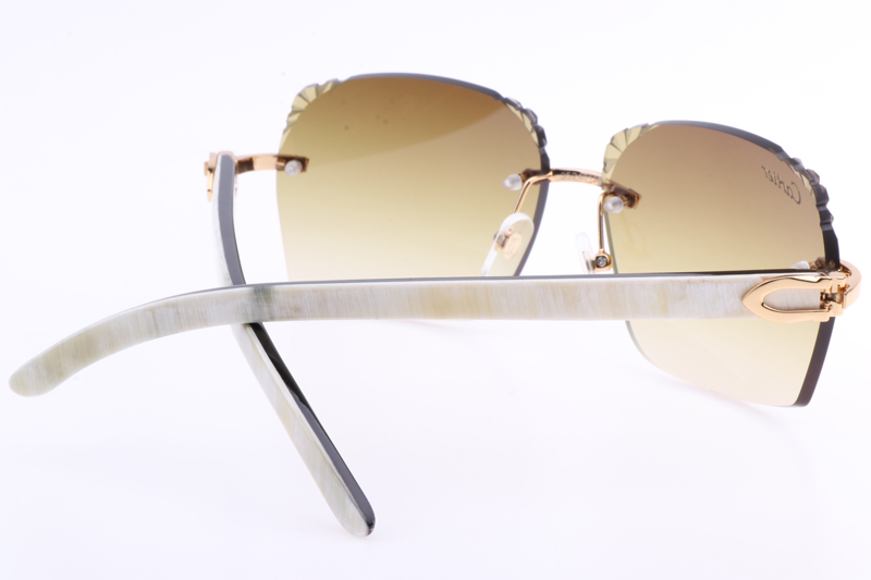 CT 8300818 Engrave Lens White Mix Black Buffalo Sunglasses In Gold Brown