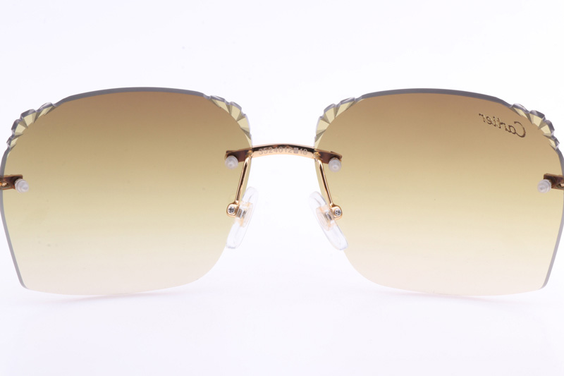 CT 8300818 Engrave Lens White Mix Black Buffalo Sunglasses In Gold Brown