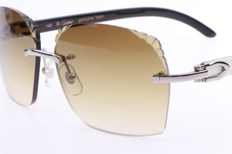 CT 8300818 Engrave Lens White Mix Black Buffalo Sunglasses In Silver Brown