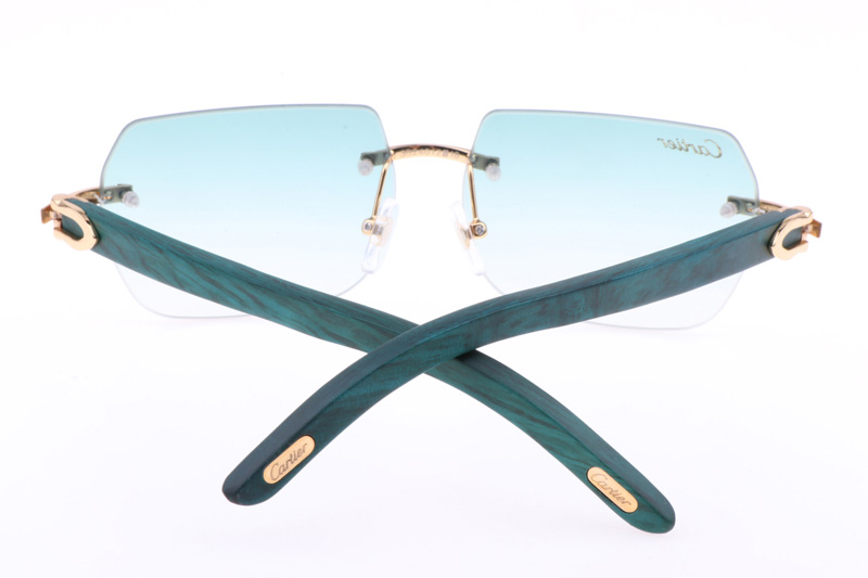 CT 8300818 Green Wood Sunglasses In Gold Gradient Green