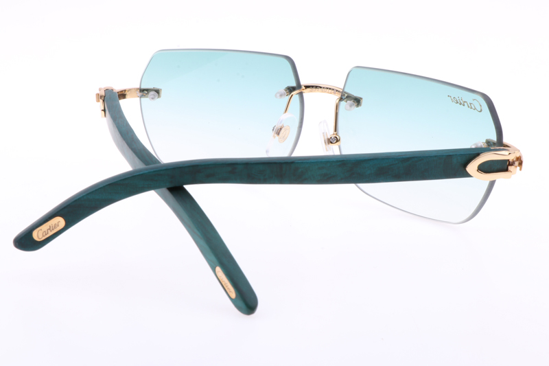 CT 8300818 Green Wood Sunglasses In Gold Gradient Green