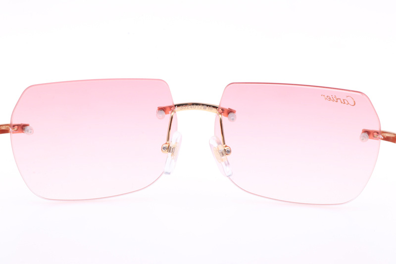 CT 8300818 Red Wood Sunglasses In Gold Gradient Pink