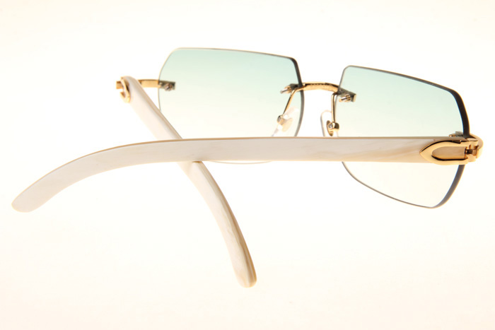 CT 8300818 White Buffalo Sunglasses In Gold Gradient Green