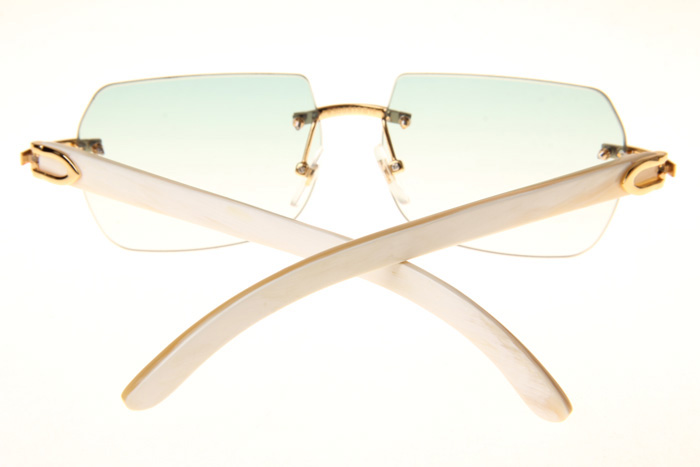CT 8300818 White Buffalo Sunglasses In Gold Gradient Green
