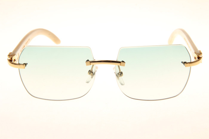 CT 8300818 White Buffalo Sunglasses In Gold Gradient Green