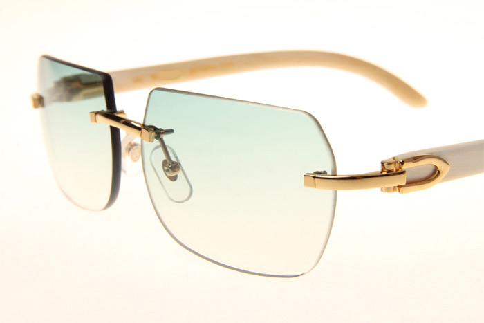 CT 8300818 White Buffalo Sunglasses In Gold Gradient Green