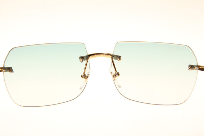 CT 8300818 White Mix Black Buffalo Sunglasses In Gold Gradient Green