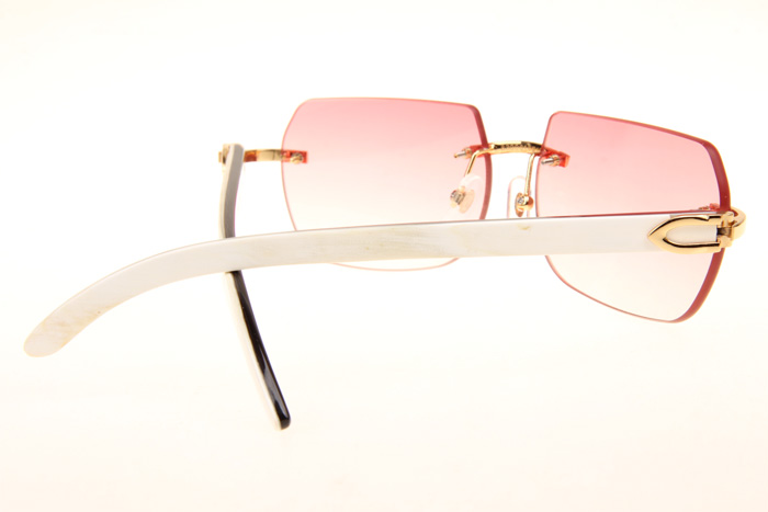CT 8300818 White Mix Black Buffalo Sunglasses In Gold Gradient Pink