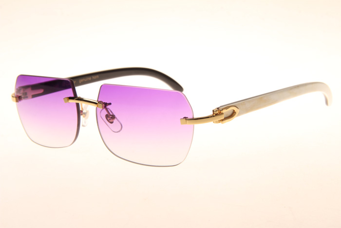 CT 8300818 White Mix Black Buffalo Sunglasses In Gold Gradient Purple