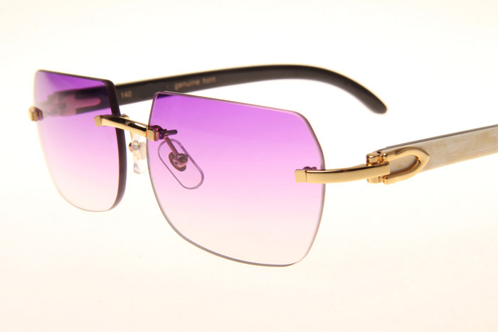 CT 8300818 White Mix Black Buffalo Sunglasses In Gold Gradient Purple