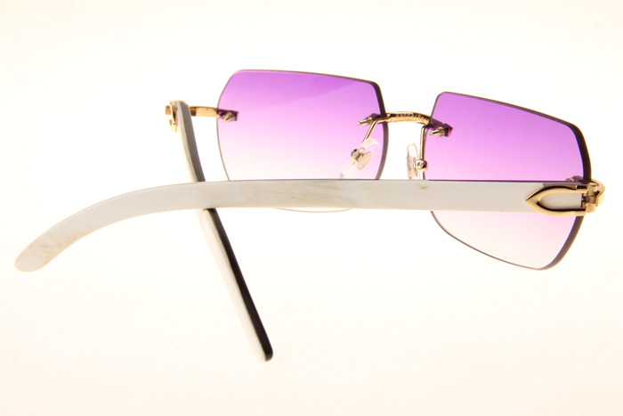 CT 8300818 White Mix Black Buffalo Sunglasses In Gold Gradient Purple