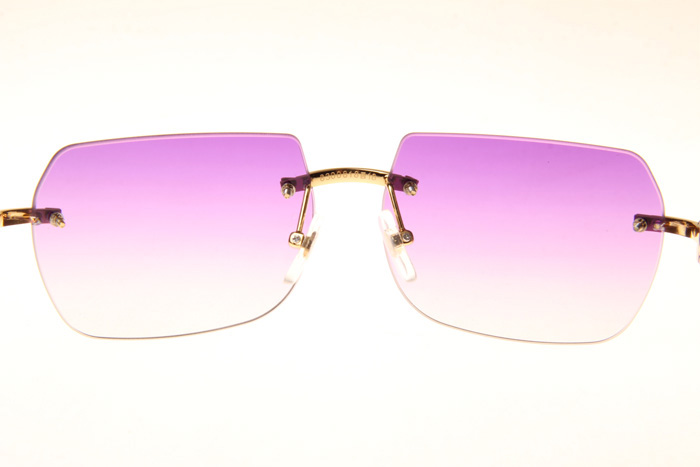 CT 8300818 White Mix Black Buffalo Sunglasses In Gold Gradient Purple