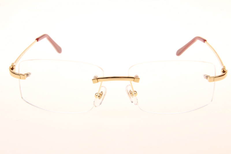 CT T8100686 Eyeglasses In Gold
