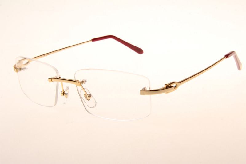 CT T8100686 Eyeglasses In Gold