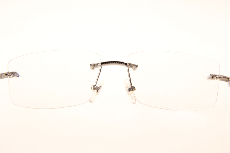 CT T8100686 Eyeglasses In Silver