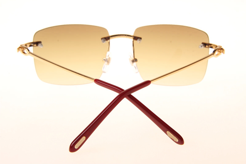 CT T8100686 Sunglasses In Gold Gradient Brown