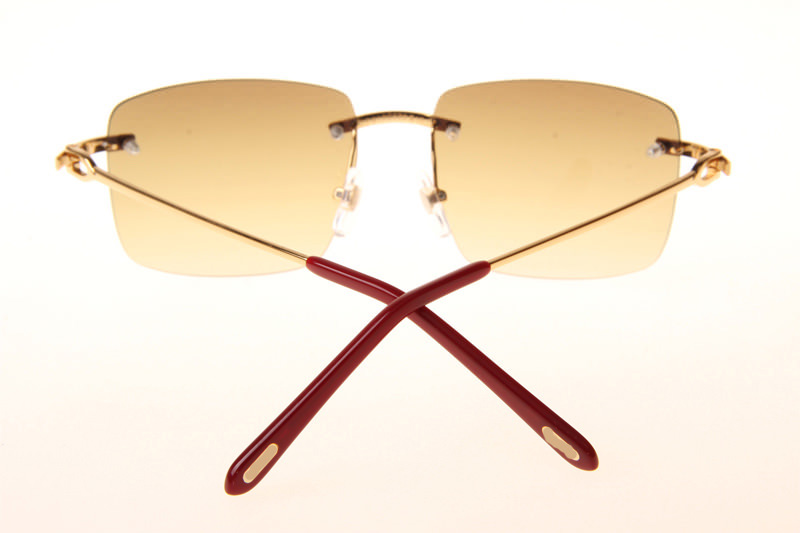 CT T8100686 Sunglasses In Gold Gradient Brown