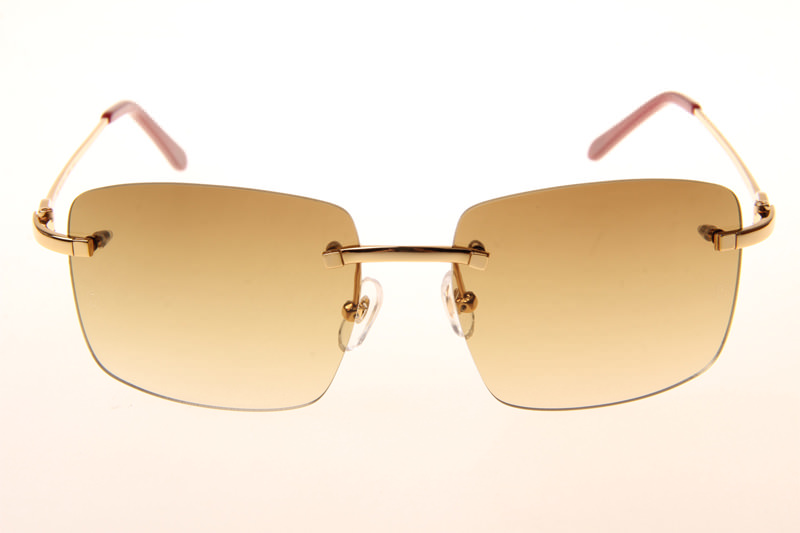 CT T8100686 Sunglasses In Gold Gradient Brown
