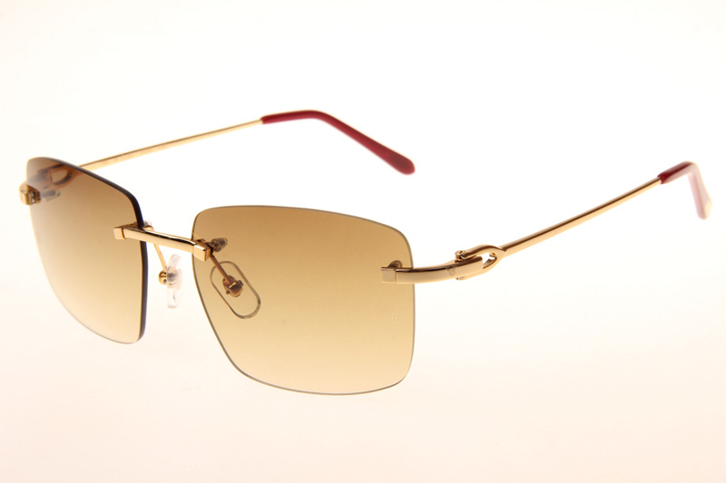 CT T8100686 Sunglasses In Gold Gradient Brown