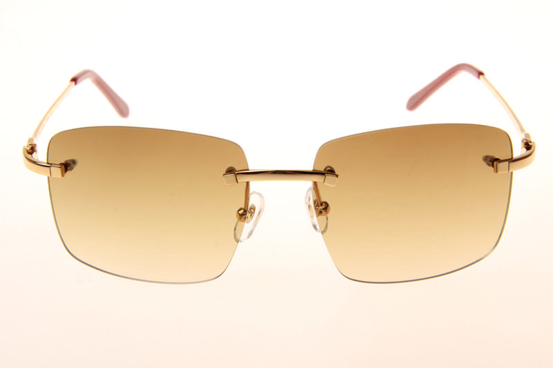 CT T8100686 Sunglasses In Gold Gradient Brown