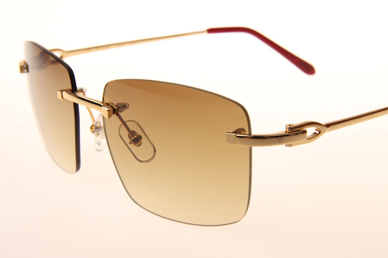 CT T8100686 Sunglasses In Gold Gradient Brown