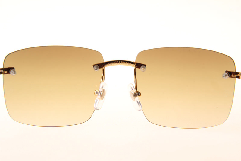 CT T8100686 Sunglasses In Gold Gradient Brown