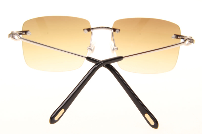 CT T8100686 Sunglasses In Silver Gradient Brown