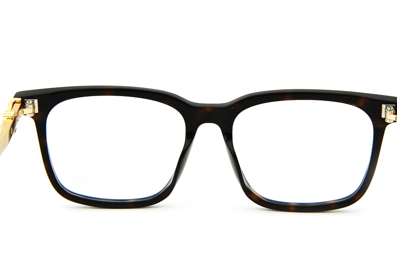 Chuck-A Eyeglasses Tortoise Gold