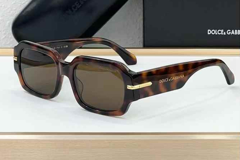 DG4485 Sunglasses Tortoise Brown