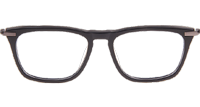 DT DLX403 Eyeglasses In Black Gunmetal