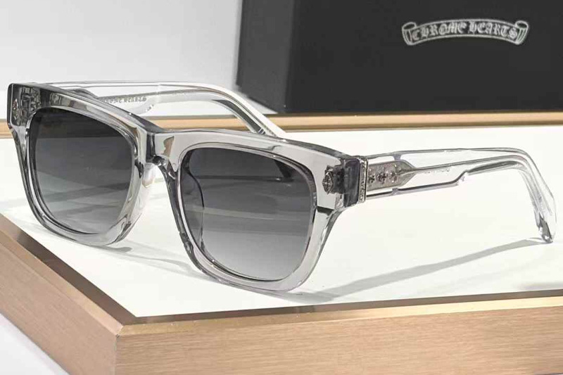Dickfitzener Sunglasses Transparent Gray Gradient Gray