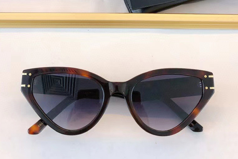 Dsgts6fxr Sunglasses Dark Tortoise Gradient Gray